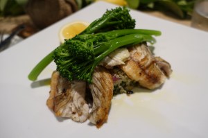Pappa - Barramundi